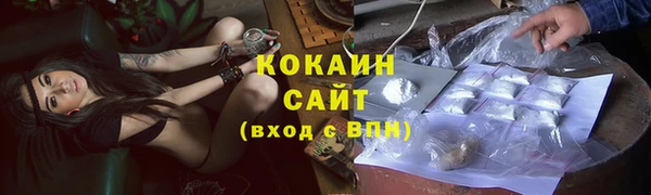 стафф Зерноград